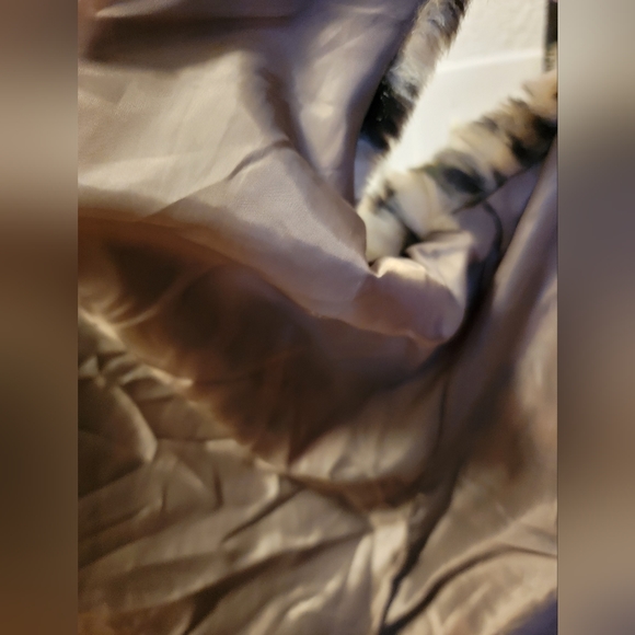 Leopard Fur Vest - Picture 2 of 4